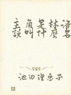 主角是林洛的小说叫什么名字