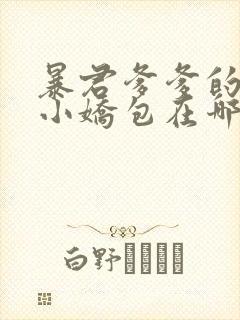 暴君爹爹的团宠小娇包在哪看