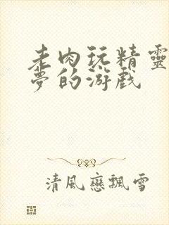 老肉玩精灵宝可梦的游戏