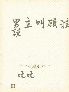 男主叫顾淮的小说