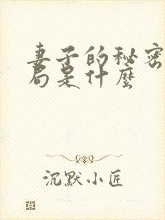 妻子的秘密大结局是什么