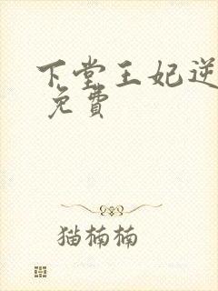 下堂王妃逆袭记 免费