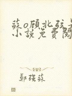 苏o顾北弦最新小说免费阅读