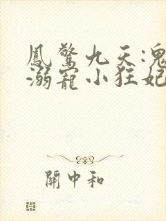 凤惊九天:鬼帝溺宠小狂妃