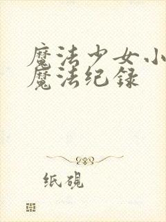魔法少女小圆之魔法纪录