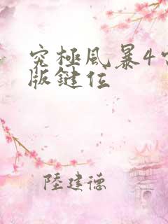 究极风暴4电脑版键位