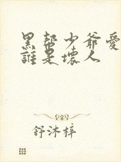 黑帮少爷爱上我谁是坏人