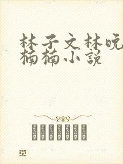 林子文林晚晚林楠楠小说