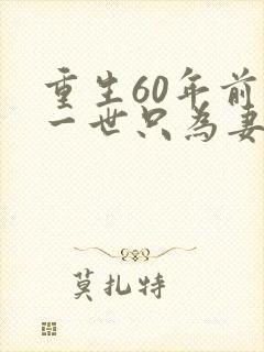 重生60年前这一世只为妻儿在线观看