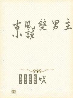 古风双男主cp小说