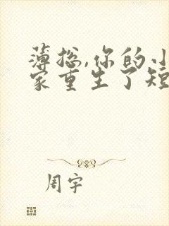 薄总,你的小冤家重生了短剧