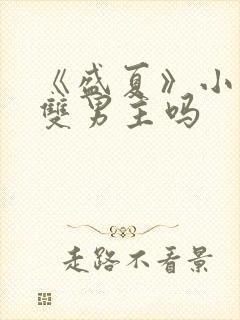 《盛夏》小说是双男主吗