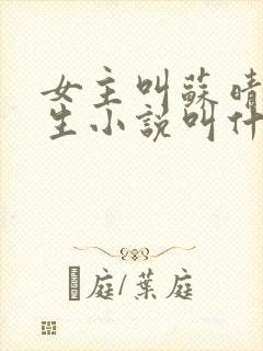 女主叫苏晴的重生小说叫什么名字