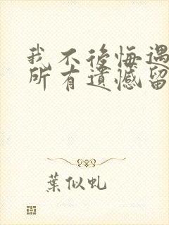 我不后悔遇见你所有遗憾留在心里