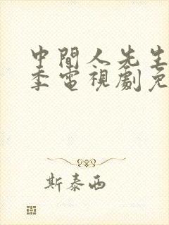 中间人先生第一季电视剧免费观看