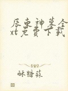 辰东神墓全本txt免费下载