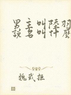 男主叫陆羽的小说名叫什么