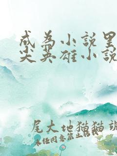 成为小说里的顶尖英雄小说免费阅读