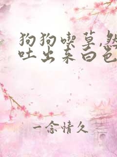 狗狗吃草,然后吐出来白色的泡沫