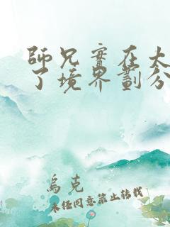 师兄实在太稳健了境界划分