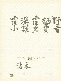 霍深霍栖野夏稚小说免费看