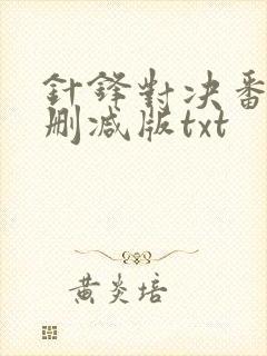 针锋对决番外未删减版txt