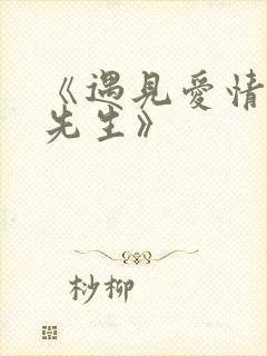 《遇见爱情的利先生》