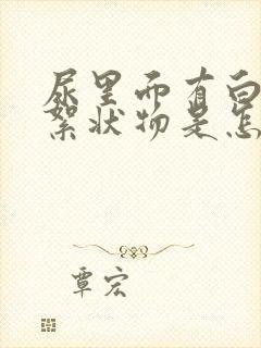 尿里面有白色的絮状物是怎么回事