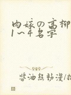 肉嫁の高柳动漫1～4名字