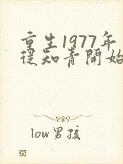 重生1977年从知青开始 小说