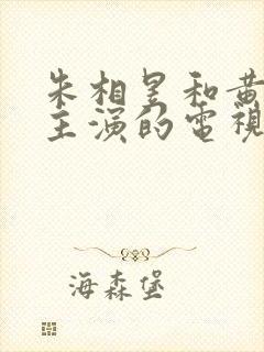 朱相昱和黄正音主演的电视剧