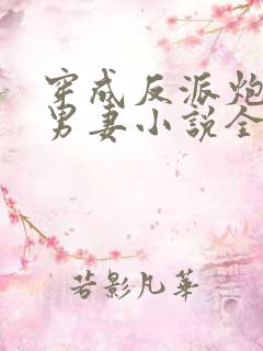 穿成反派炮灰的男妻小说全文阅读