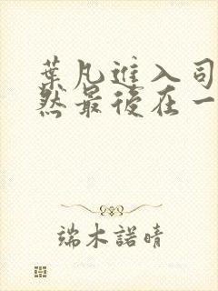 叶凡进入司徒嫣然最后在一起了吗