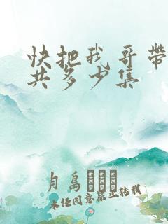 快把我哥带走一共多少集