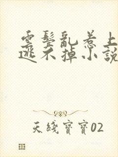 云鬓乱惹上权臣逃不掉小说全文免费阅读