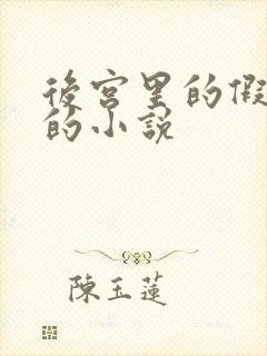 后宫里的假太监的小说