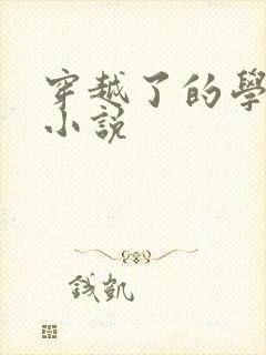 穿越了的学霸 小说