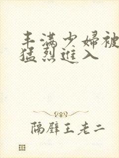 丰满少妇被粗大猛烈进入