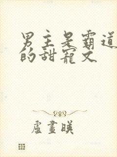 男主是霸道总裁的甜宠文