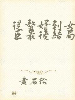 从赘婿到女帝宠臣最后结局