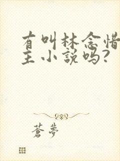 有叫林念惜的女主小说吗?