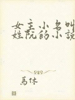 女主小名叫囡囡姓阮的小说