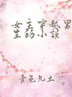 女主穿越男主重生的小说