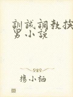 训诫调教挨打双男小说