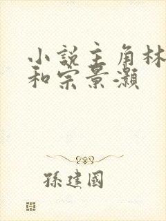 小说主角林辛言和宗景灏