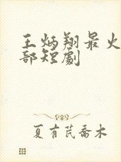 王炳翔最火的5部短剧