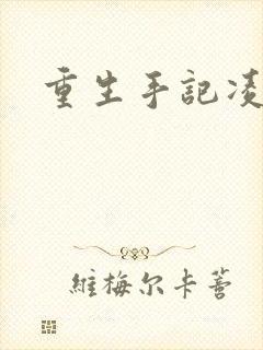 重生手记凌志军