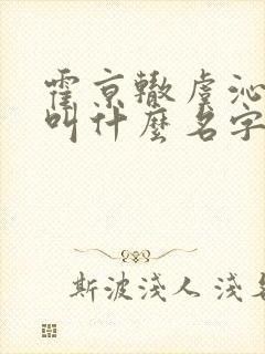 霍京辙虞沁小说叫什么名字