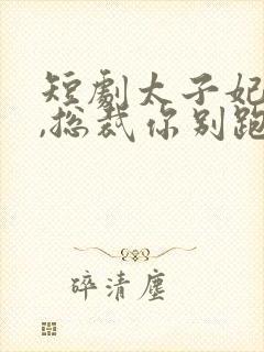 短剧太子妃驾到,总裁你别跑