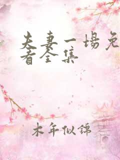 夫妻一场免费观看全集